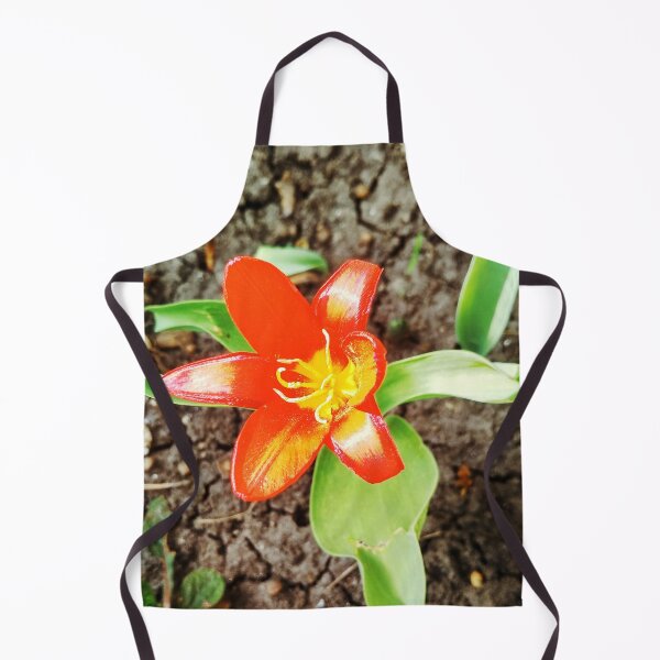 Item preview, Red beautiful tiger lily in full blossom, natural background designed and sold by helenkaiy.