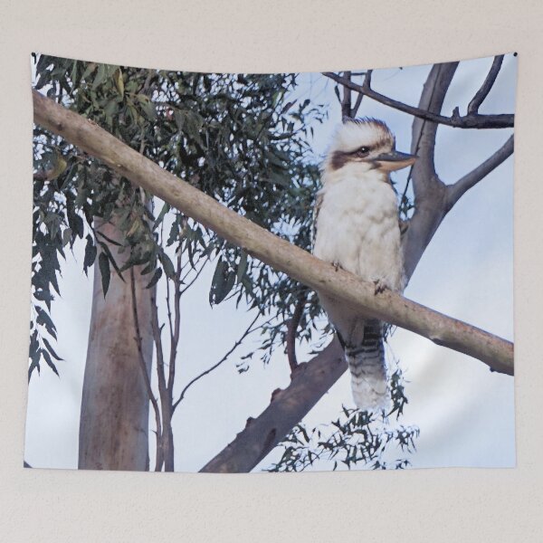 Item preview, Kookaburra in a Gum Tree. designed and sold by Margaret Stevens.