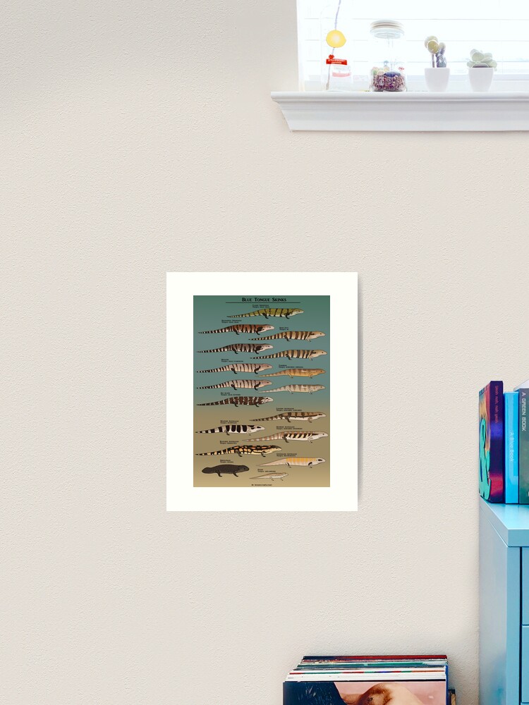 Thumbnail 1 of 3, Art Print, Blue tongue skink species natural history designed and sold by Interfector.