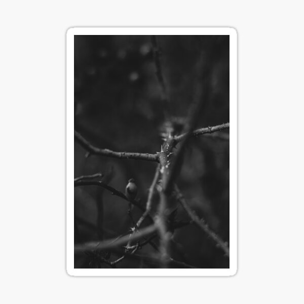 Gray thorns Sticker
