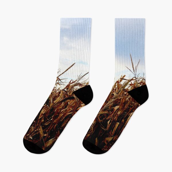 Item preview, Dried corn field designed and sold by Michaelerch.