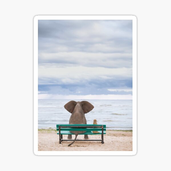 elephant and dog sit on a bench by the sea  Sticker