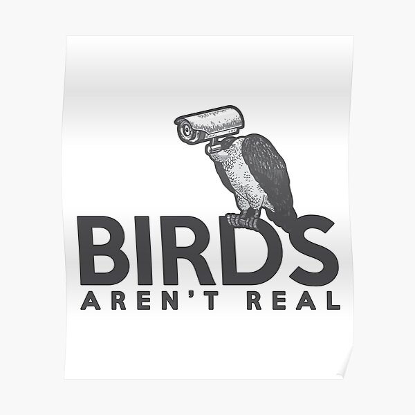 Birds Aren't CCTV Real Gift Poster