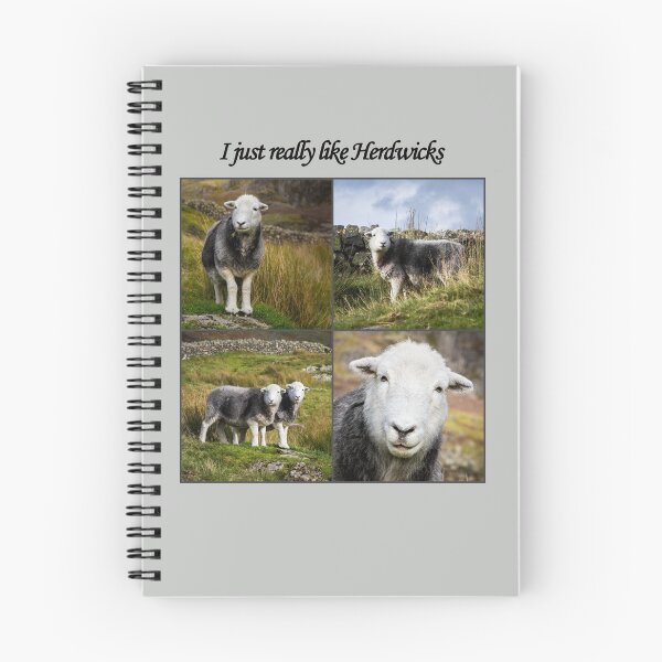 Item preview, I Just Really Like Herdwicks designed and sold by Jane Stanley Photography.
