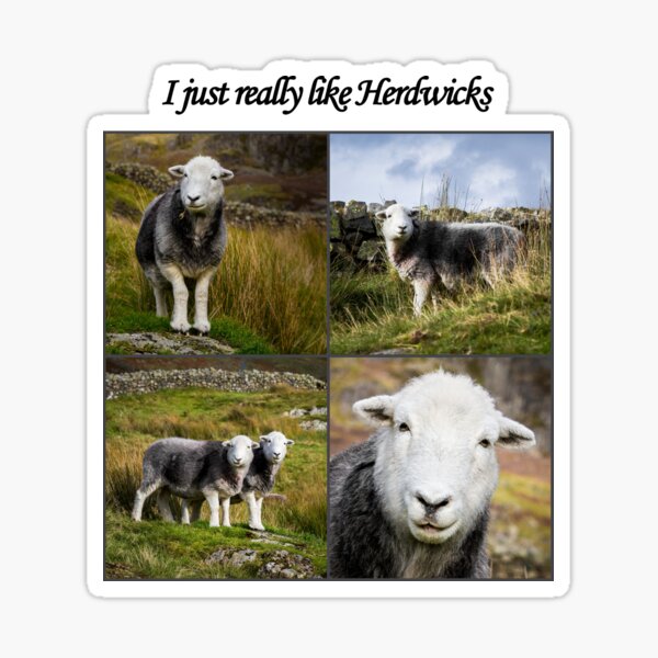 Item preview, I Just Really Like Herdwicks designed and sold by JStanley19.