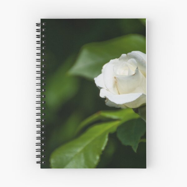 Item preview, Rosa blanca en la rama designed and sold by Alexx60.
