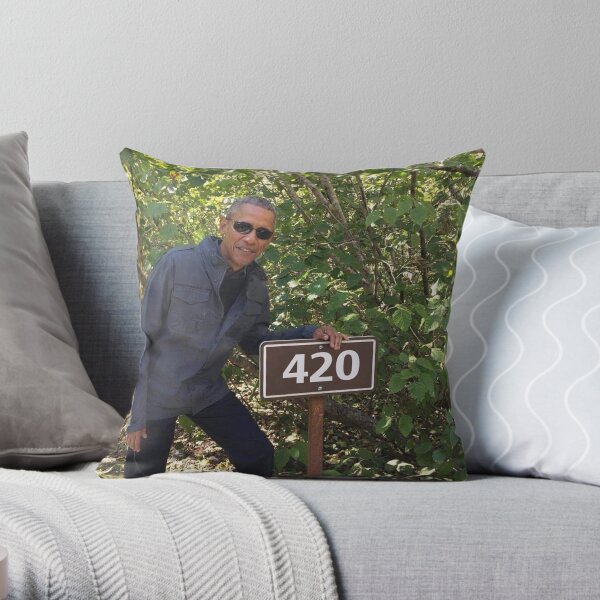 Obama 420 Ausfahrt Gletscher Dekokissen