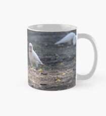 Corellas im Park Tasse (Standard)