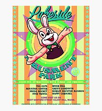 Lakeside Amusement Park Photographic Print