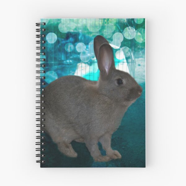 Item preview, Bruna The Bunny designed and sold by alabca.