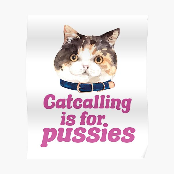 Catcalling Posters Redbubble