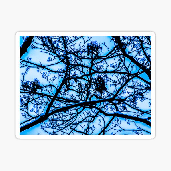 Branches blue Sticker