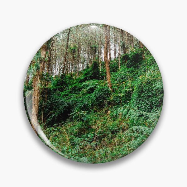 Item preview, Beautiful forest in the Retiro mountains, Altioquia designed and sold by hateeyes.