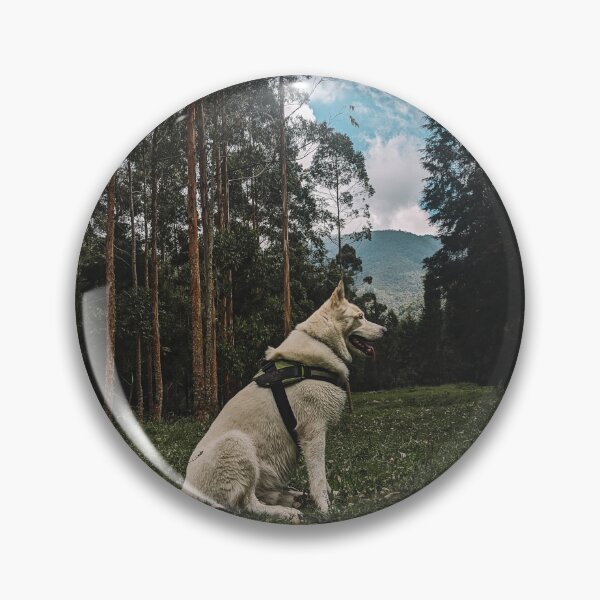 Item preview, Beautiful dog sitting in nature. designed and sold by hateeyes.