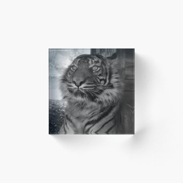 Item preview, Majestic Tiger designed and sold by WinkhamArt.