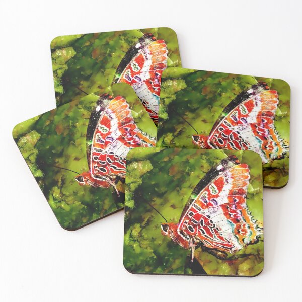 Item preview, Charaxes Brutus Buttterfly designed and sold by Focal-Art.