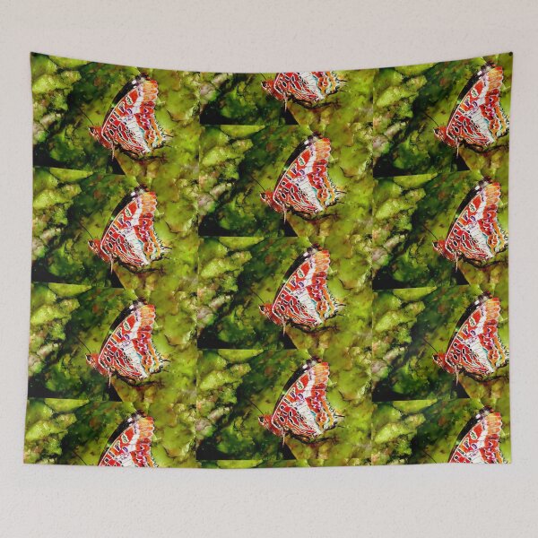 Item preview, Charaxes Brutus Buttterfly designed and sold by Focal-Art.