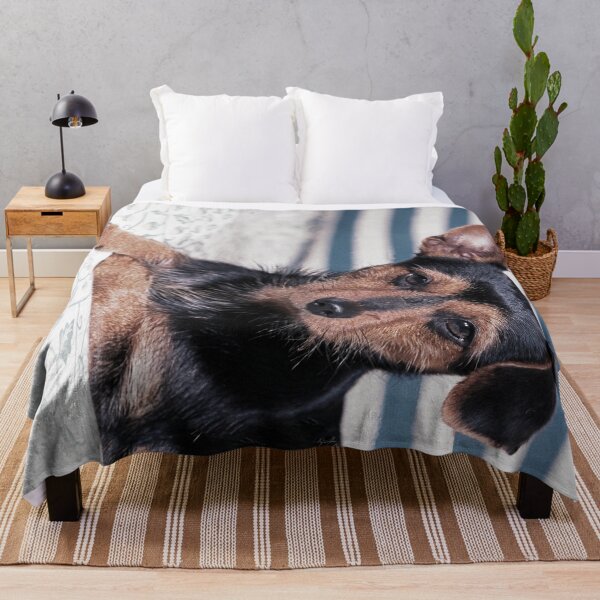 Artikelvorschau, r2715 / 1 Chien : Mayol " A la Plage ! " - New Finition 2021 / (c)(t) Olavia-Olao Okaio Créations entworfen und verkauft von o.okaïo.