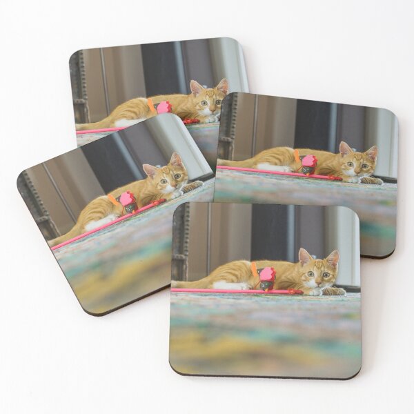 Item preview, Young red cat looking at camera designed and sold by Photopat.