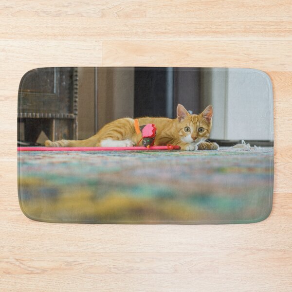Item preview, Young red cat looking at camera designed and sold by Photopat.