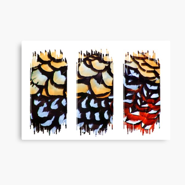 Reeves Pheasant (Triptych) Canvas Print