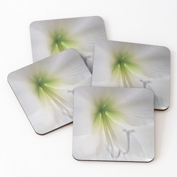 Item preview, Inside white amaryllis Beautiful flowers Botanical Floral designed and sold by Tanja Dianova.