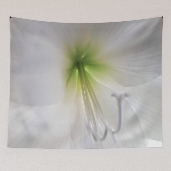 Item preview, Inside white amaryllis Beautiful flowers Botanical Floral designed and sold by Tanja Dianova.
