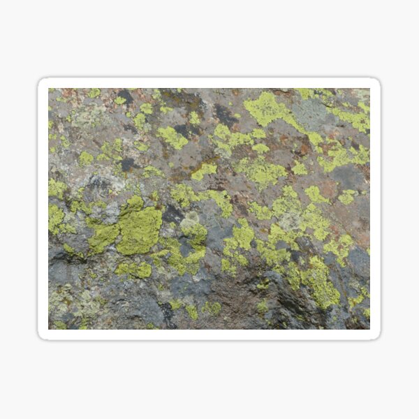 Item preview, Natural Lichen designed and sold by BlueSpecsStudio.