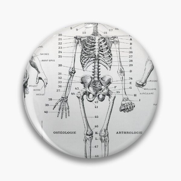 Item preview, Homme Illustration of the Human Body designed and sold by redoARTstore.