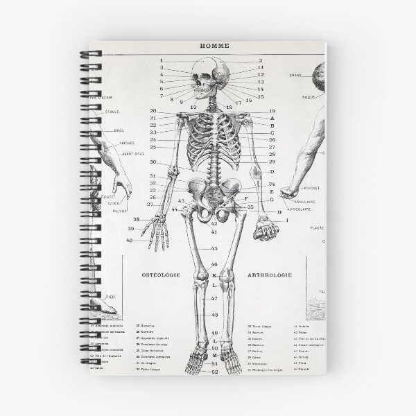 Item preview, Homme Illustration of the Human Body designed and sold by redoARTstore.