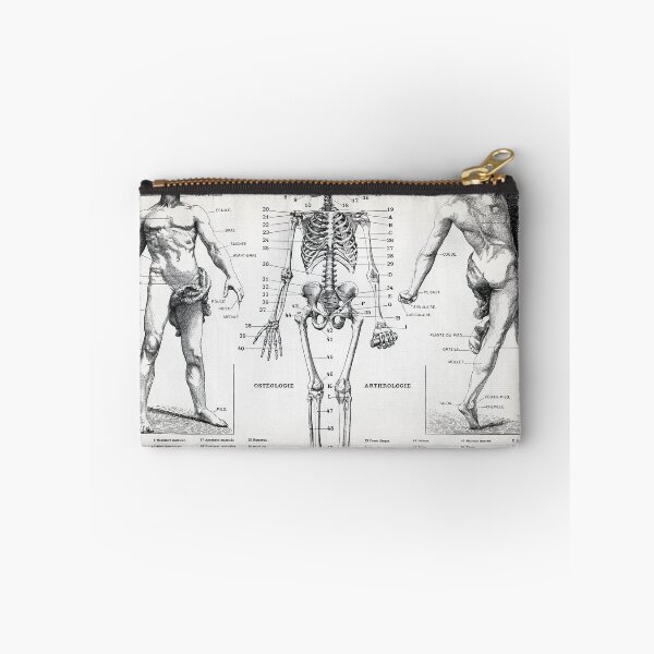 Item preview, Homme Illustration of the Human Body designed and sold by redoARTstore.