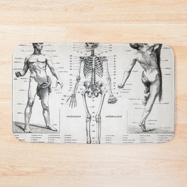 Item preview, Homme Illustration of the Human Body designed and sold by redoARTstore.