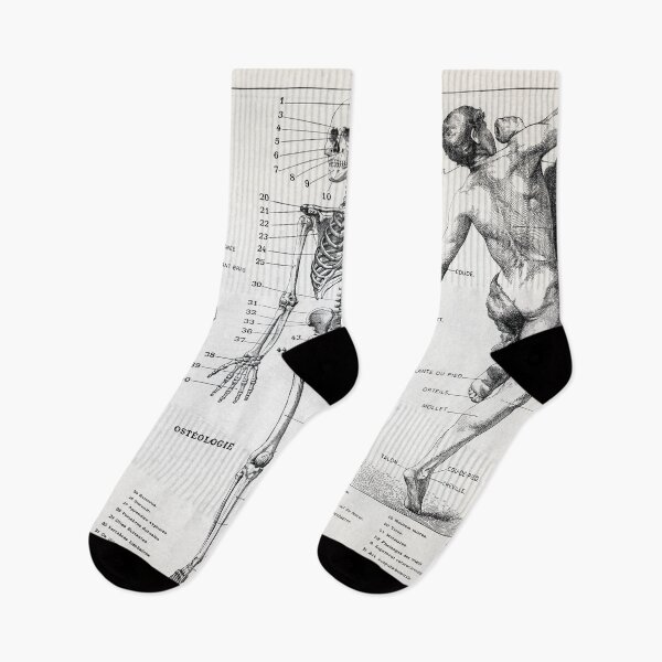 Item preview, Homme Illustration of the Human Body designed and sold by redoARTstore.