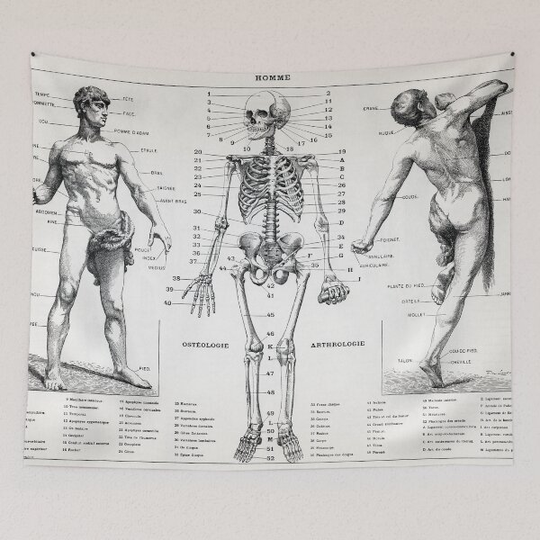 Item preview, Homme Illustration of the Human Body designed and sold by redoARTstore.