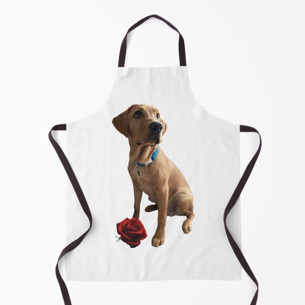 Item preview, Dexter the Fox Red Labrador - Sitting Rose designed and sold by DexterFRL.