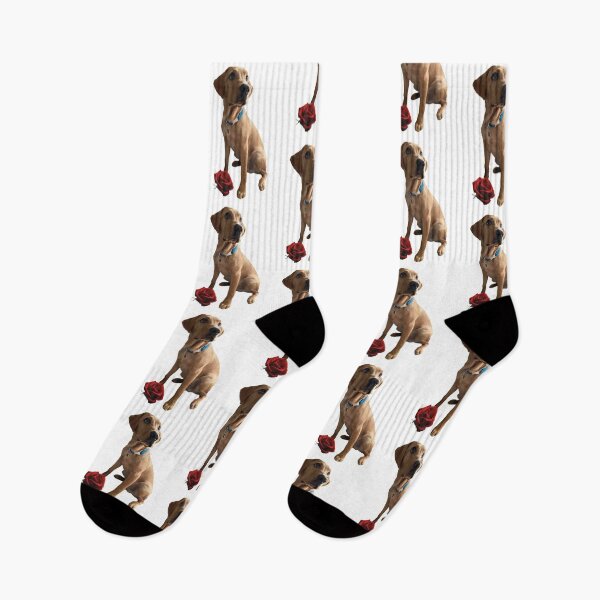 Item preview, Dexter the Fox Red Labrador - Sitting Rose designed and sold by DexterFRL.