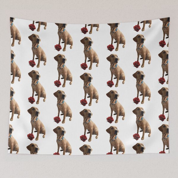 Item preview, Dexter the Fox Red Labrador - Sitting Rose designed and sold by DexterFRL.