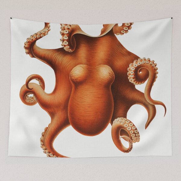 Item preview, Vintage Octopus Illustration designed and sold by redoARTstore.