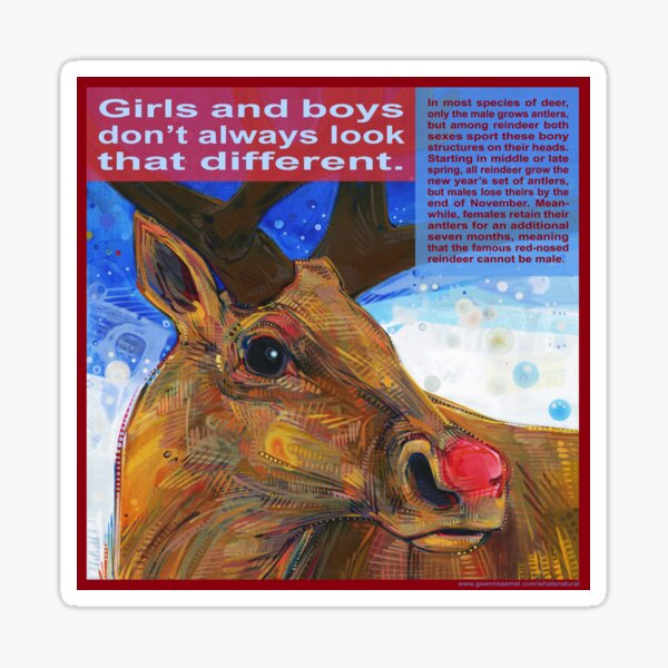 Rudolpha (Reindeer) Sticker