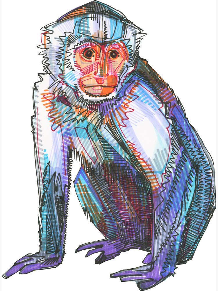 "Capucin Monkey Drawing 2015" for Sale by gwennpaints Redbubble