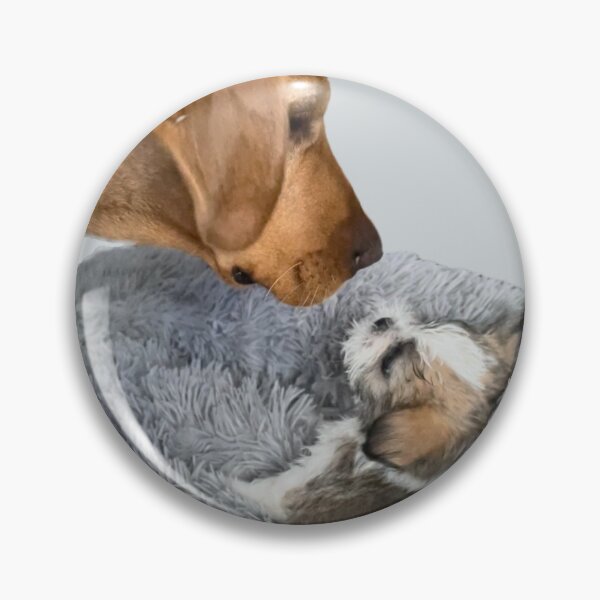 Item preview, Dexter and Bailey - Puppy Love designed and sold by DexterFRL.