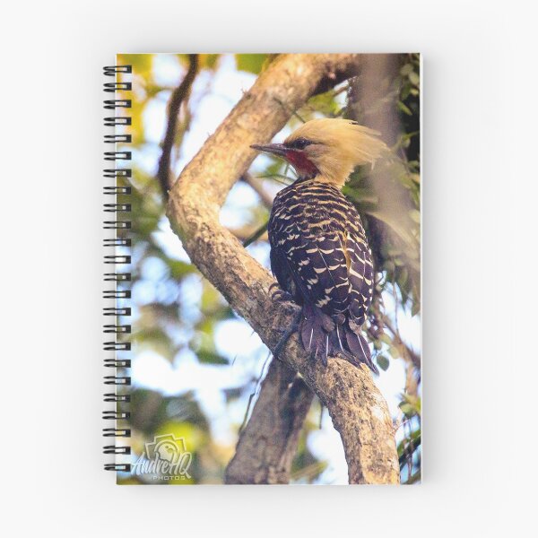 Item preview, Yellow woodpecker designed and sold by andrehqphotos.