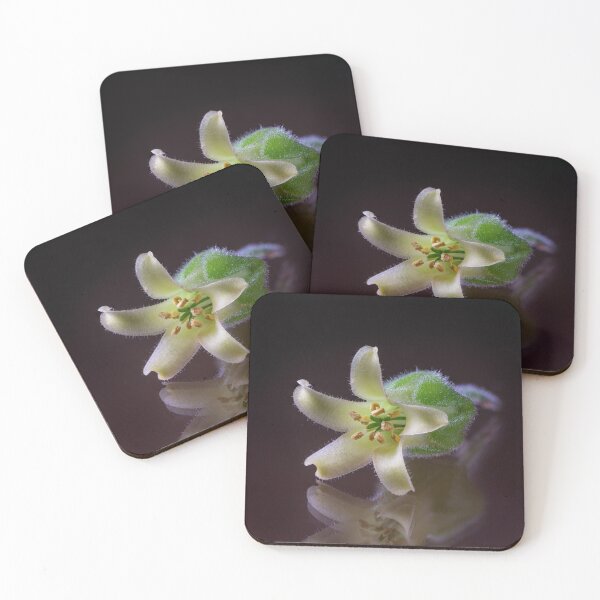 Item preview, Yellow delicate flower designed and sold by gelibolu.