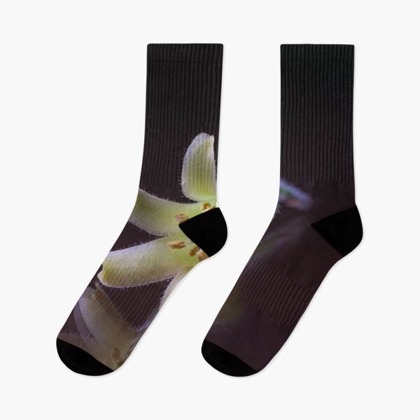 Item preview, Yellow delicate flower designed and sold by gelibolu.
