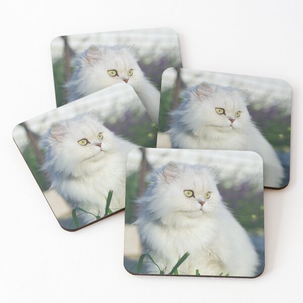 Item preview, Beautiful Cat designed and sold by Jodes16.