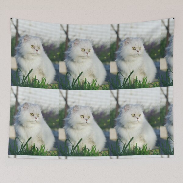 Item preview, Beautiful Cat designed and sold by Jodes16.