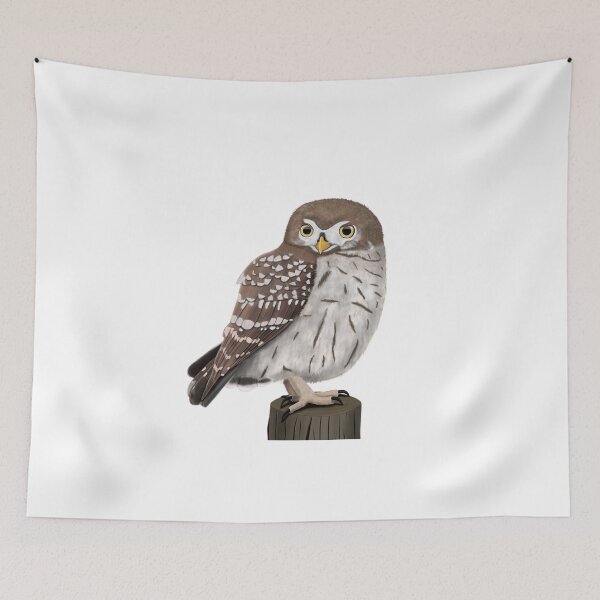 Item preview, Owl little owl bird garden bird illustration biologist ornithologist bird lover designed and sold by jz-birds.