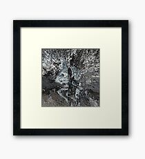 BW 031 Framed Print