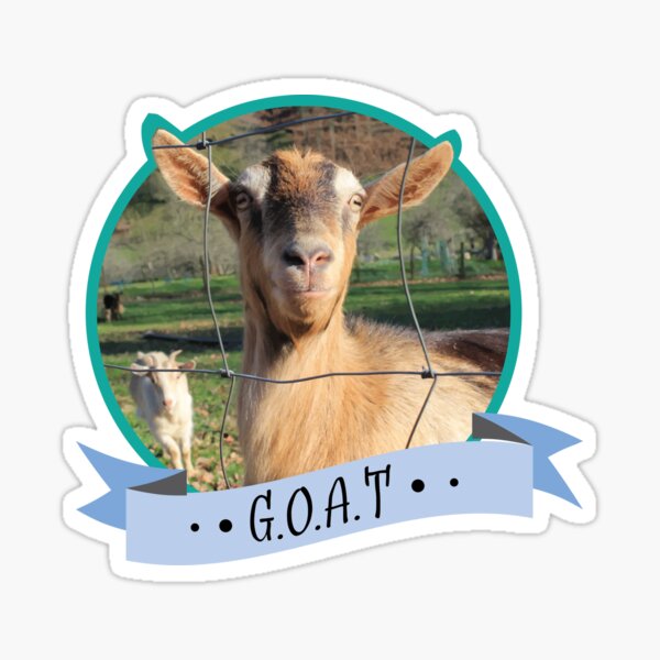 Item preview, GOAT designed and sold by Dingier.