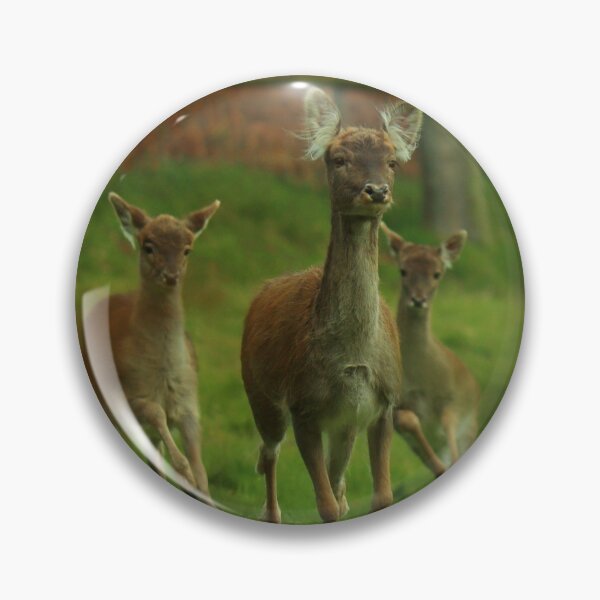 Item preview, Life of a Doe designed and sold by cjwarburton.